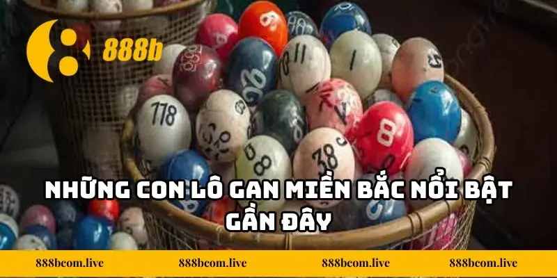 Những con lô gan miền Bắc nổi bật gần đây